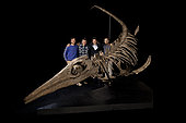 New yet undescribed giant ichthyosaur species from the Lower Cretaceous, Aptian (113-125 million years ago). The largest ichthyosaur skeleton in the world reassembled in 3 dimensions. As their name suggests, from the Greek 'ichthyo': fish, and 'saurus': reptile, ichthyhyosaurs were marine reptiles, which dominated the seas at the time when their dinosaur cousins occupied the mainland. This skeleton was discovered in Cretaceous rocks in Provence. - Blouet brothers collection