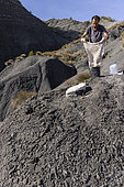 Luc Ebbo, paleontologist. Preparation of a sample containing fossils for collection. Albian blue marls of Sisteron. Ebbo collection