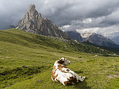 Dolomites at Passo Giau. Ra Gusela and Tofane. The Dolomites are part of the UNESCO world heritage. Europe, Central Europe, Italy