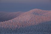 Valtavaara in winter, view from Rukatunturi Mountain, Valtavaara-Pyhävaara Nature Reserve, Kuusamo, Northern Ostrobothnia, Finland, Europe