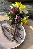 Organic Liquorice (Glycyrrhiza glabra) roots on a plate with First flowers of the year, bunch of Daffodils (Narcissus sp), Christmas Roses (Helleborus sp) and Snowdrops (Galanthus nivalis)