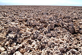 Valley of the Moon. Atacama Desert. Chile.