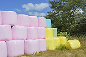Wrapped hay bales. Farmers who buy coloured wrapping films support the fight against cancer. Pink for breast cancer, blue for prostate cancer and yellow for childhood cancer. France