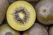 Yellow kiwi 'Jingold'