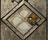 Great Tit (Parus major) perched in a broken window