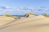 Dunes and Lighthouse of Walde, Mark, Pas-de-Calais, Opal Coast, France
