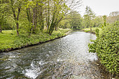 Saâne river, Ouville-la-Rivière, Pays de Caux, Seine Maritime, Haute Normandie, France