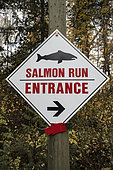 Signboards indicating salmon run on the Tsútswecw Provincial Park. Adams River, British Columbia, Canada