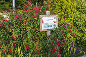 "Refuge zone for insects" sign in summer, Pas de Calais, France