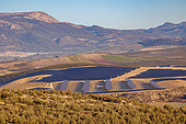 Replacement of olive fields with gigantic photovoltaic panel installations, Village of Fuensante, Municipality of Pinos Puente, Andalusia, Spain