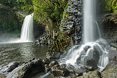 Bassin la Paix, Bras Panon, Reunion Island, France