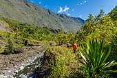 Cirque de Mafate, Les 3 Roches, Reunion Island, France