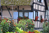 Flowery Alsatian house, Ecomusée de Haute Alsace, Haut-Rhin, Alsace, France