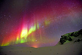 Aurora borealis, Cape Hoegh, north-east coast of Greenland