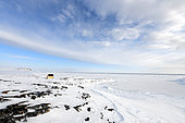 Cape Swainson hut, North-east coast of Greenland