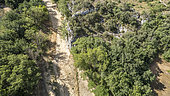 Dry Calavon, Bonnieux, Luberon, Vaucluse, France