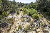 Dry Calavon, Bonnieux, Luberon, Vaucluse, France