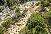 Dry Calavon, Bonnieux, Luberon, Vaucluse, France
