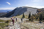 Ridges of the Montagne de Lure, Alpes de Haute Provence, France