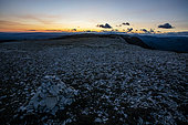 Ridges of the Montagne de Lure, Alpes de Haute Provence, France