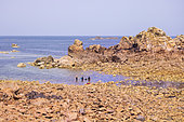 Freediving in the Côtes d'Armor, Plougrescant, Brittany, France