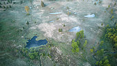 Ponds surrounded by molinias, spruces and aspens, water system with river and fens, Ardennes, Belgium