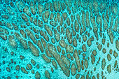 Groove-like structures formed by corals in the lagoon, Mayotte