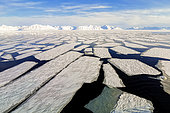 Landscape of broken pack ice with large patches of ice (called floe) in a surprisingly quadrangular shape in Raudfjorden, Spitsbergen island, Svalbard archipelago.