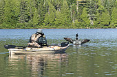 Tourist Diane Meilleur on a canoe trip in La Mauricie national park. Every summer, thousands of visitors flock to the lakes in La Mauricie national park to go kayaking, canoeing and fishing, bringing them into contact with the breeding loons (Gavia immer). The presence of the common loon on the lakes makes canoe trips more enjoyable. la Mauricie national park. Quebec. Canada