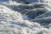 Fast flowing Ubaye river in early summer, Alpes-de-Haute-Provence, France