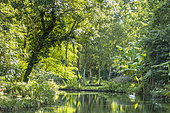 La Venise Verte, Parc Floral de la Court d'Aron, Saint Cyr-en-Talmondais, Vendée, France