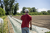 Man seen from the back during the installation of a woven fabric for open field cultivation in the Les Pot'iront community garden in Décines. Shared garden and planting in open fields. The garden enables members to buy baskets of organic vegetables at a lower cost, Décines, Grand Lyon, France.