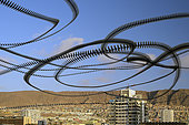 Décomposition de vols d'Urubus à tête rouge (Cathartes aura), Antofagasta, Chili.