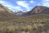 Aconcagua massif and summit, view of the Rio de los Horcones valley, Andes Cordillera, Mendoza Province, Argentina