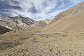Rio de los Horcones Valley, Upper Rio Mendoza Valley, Andes Mountains, Mendoza Province, Argentina