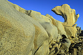 Leucocratic granites sculpted by marine erosion in southern Corsica. Pointe de Campomoro - Gulf of Valinco - Corsica