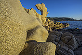 Leucocratic granites sculpted by marine erosion in southern Corsica. Pointe de Campomoro - Gulf of Valinco - Corsica