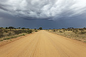 Gravel road and approaching thunderstorm during the rainy season. Kalahari Desert. Kgalagadi Transfrontier Park, South Africa.