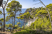 Mont Salva Beach, Cap Sicie massif, Six-Fours-les-Plages, Var, France