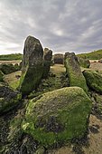 Neolithic tomb, gallery grave, passage grave of Guinirvit, Bay of Kernic, Finistère, Brittany, France, Europe