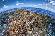 A half-air, half-water view of the coral spats of Mayotte's famous southern lagoon pools.