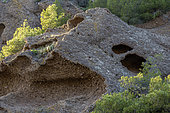 Eroded puddingstone, Anse de Figuerolles, La Ciotat, Bouches-du-Rhone