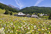 Chalets des Ayes (1762 m) on the GR 5 hiking trail, Villar-Saint-Pancrace, Hautes-Alpes, France