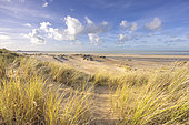 Dune landscape, Opal Coast, Pas-de-Calais, France