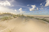 Dune landscape, Opal Coast, Pas-de-Calais, France
