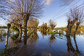 Lake d'Ardres overflows following intense rainfall, Pas-de-Calais, France, November 2023