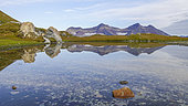 Tundra and lake in the Arctic, Gnalodden, Hornsund, Spitzbergen, Svalbard