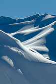 Skier in powder snow, Rosa Kutor, Sochi, Caucasus, Russia
