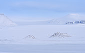 Glacier Rabotbreen in Sassen-Buensow Land NP. Winter landscape on the island Spitsbergen in the Svalbard archipelago. Arctic, Europe, Scandinavia, Norway, Svalbard