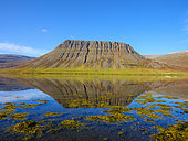 Paysage dans le fjord Alftafjoerdur. Fjords de l'Ouest (Vestfirdir) en automne, Islande